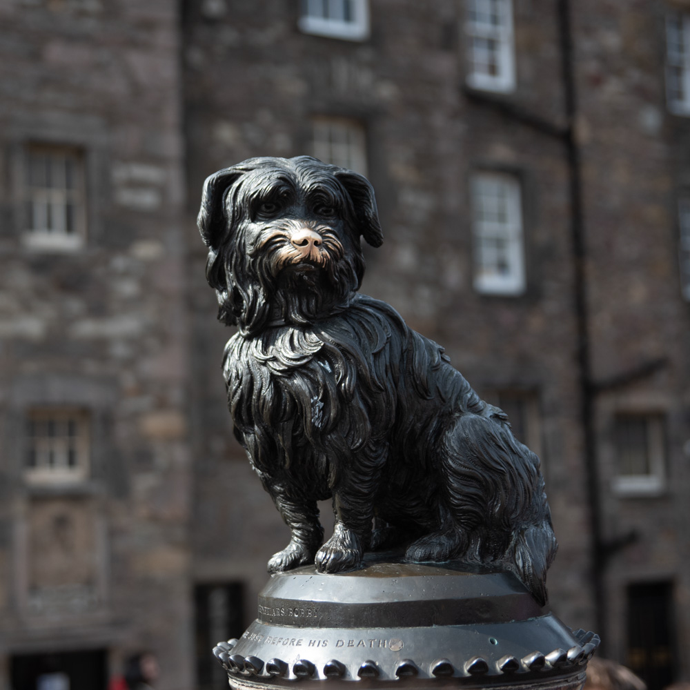 Statue du Greyfriar Bobby , le chien bien aimé