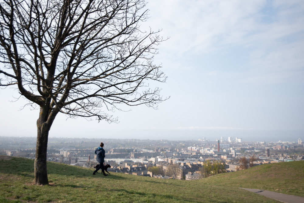 promeneur avec son chien près d'un arbre, au sommet de la colline de Calton Hill, avec vue sur la ville d'Edimbourg